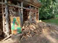 20250927_151911 (1024x768).jpg